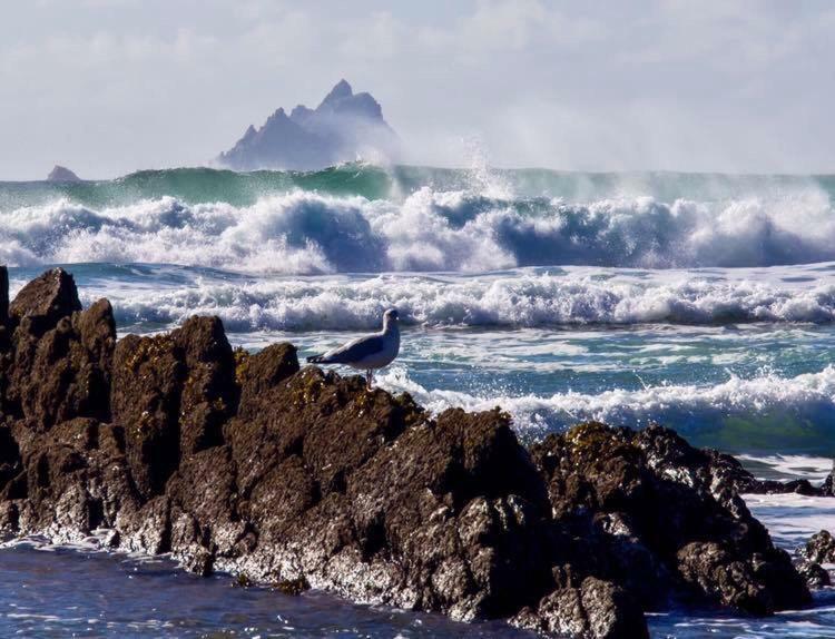 Skellig Port Accomodation - Sea View Rooms Ensuite Portmagee Buitenkant foto